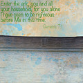 Noah's Ark Genesis 